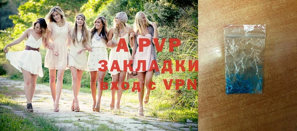 гидра Вяземский