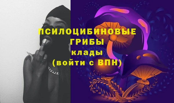 прущий лед Верея