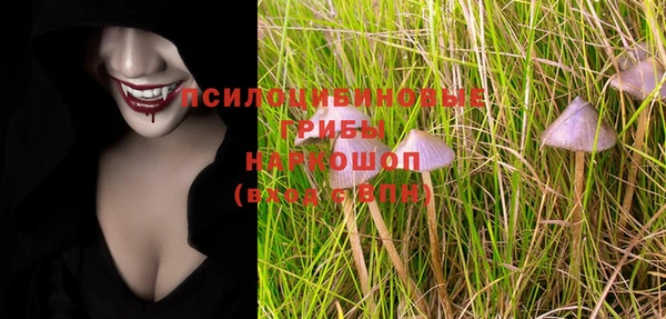 сатива Верхний Тагил