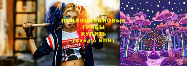 прущий лед Верея