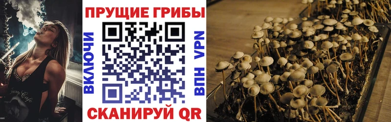 Галлюциногенные грибы прущие грибы  Купить закладки  Ладушкин 