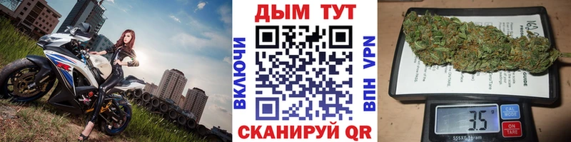 Конопля сатива  Купить закладки  Ладушкин 